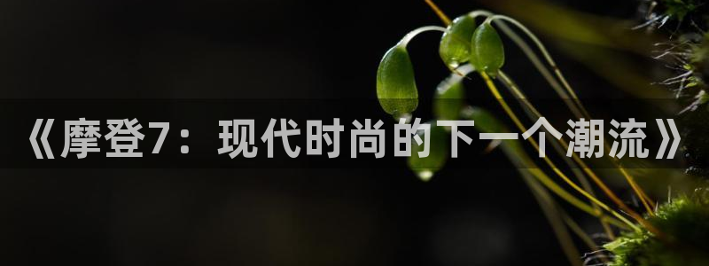 聚彩：《摩登7：现代时尚的下一个潮流》