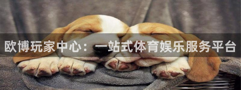聚彩平台官网：欧博玩家中心：一站式体育娱乐服务平台