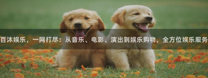 聚彩体育在线注册：百沐娱乐，一网打尽：从音乐、电影、演出到娱乐购物，全方位娱乐服