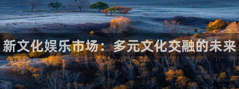 佛山市南海聚彩机电仪器有限公司：新文化娱乐市场：多元文化交融的未来