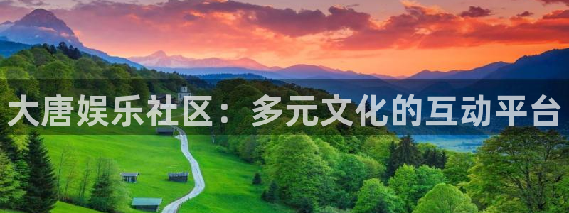 聚彩环保：大唐娱乐社区：多元文化的互动平台