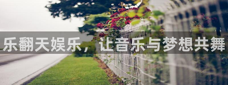上海聚彩汽车电子有限公司：乐翻天娱乐，让音乐与梦想共舞