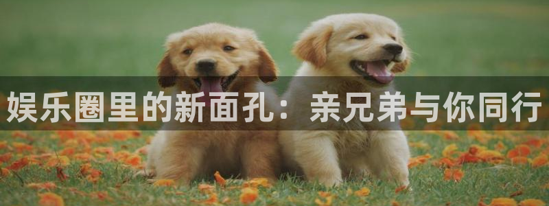 聚彩体育凯捷登陆