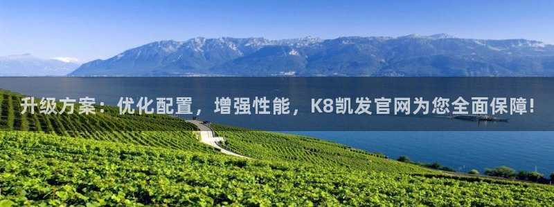 聚彩体育在线注册：升级方案：优化配置，增强性能，K8凯发官网为您全面保障!