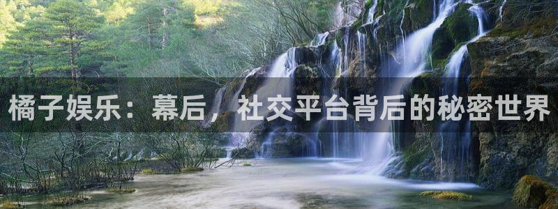 聚彩招商：橘子娱乐：幕后，社交平台背后的秘密世界