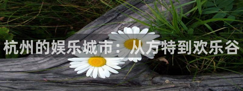 聚彩体育凯捷代理注册：杭州的娱乐城市：从方特到欢乐谷