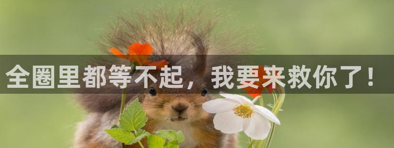 聚彩体育eon：全圈里都等不起，我要来救你了！