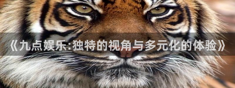 聚彩平台注册：《九点娱乐:独特的视角与多元化的体验》