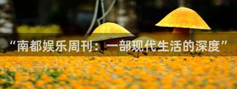 聚彩体育注册：“南都娱乐周刊：一部现代生活的深度”