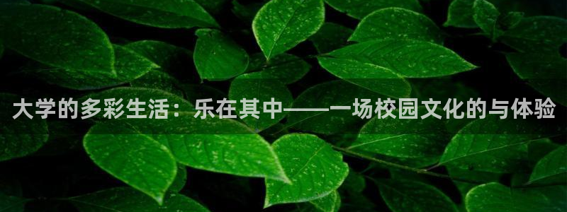 聚彩体育代理：大学的多彩生活：乐在其中——一场校园文化的与体验