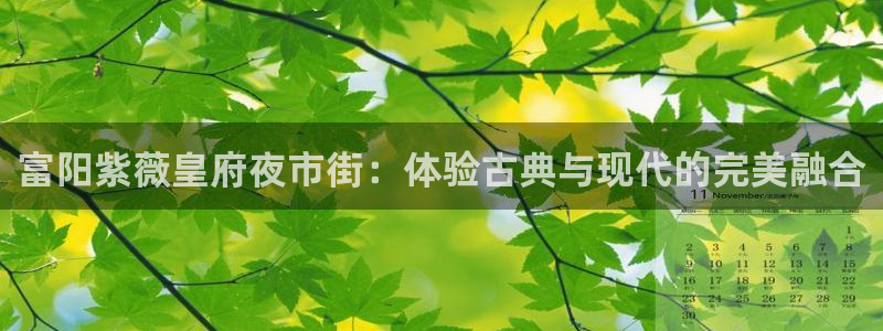 聚彩股份：富阳紫薇皇府夜市街：体验古典与现代的完美融合