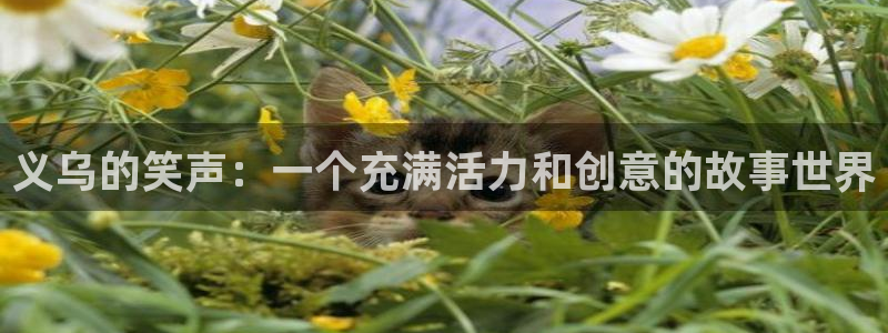 聚彩体育娱乐注册链接：义乌的笑声：一个充满活力和创意的故事世界