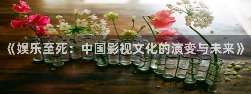 聚彩体育网页版入口：《娱乐至死：中国影视文化的演变与未来》