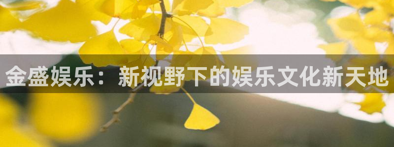 聚彩体育和杏耀是哪个公司的：金盛娱乐：新视野下的娱乐文化新天地
